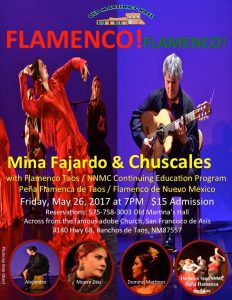 Flamenco Performance
